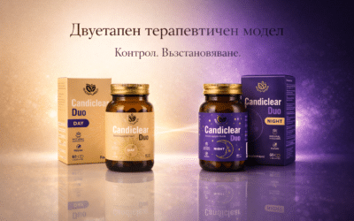 Естествено прочистване на организма – как работи двуфазният подход