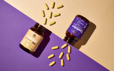 Чревният микробиом като част от цялостния подход към здравето