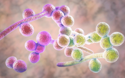 Балансът отвътре: как да ограничим свръхрастежа на гъбички Кандида