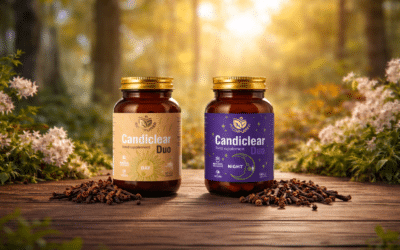 Карамфил и гъбички по краката и ноктите: естествена подкрепа срещу упоритите инфекции